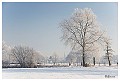 Sneeuwlandschap Princeveldweg